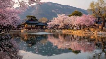 五天假期旅游全攻略:北國(guó)春光、都市潮流與文化探索之旅