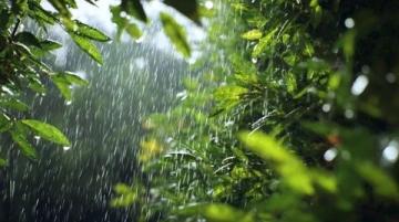 雨季安全小知識(雨季安全小知識,你知道多少?)