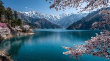 西湖C位梅花季:孤山探梅之旅(2.22-3.5)
