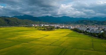 惠州市麥地片區:全面解析發展概覽