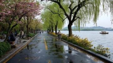 逃離都市喧囂：探尋杭州西溪濕地里的隱世桃源——十里芳菲度假村