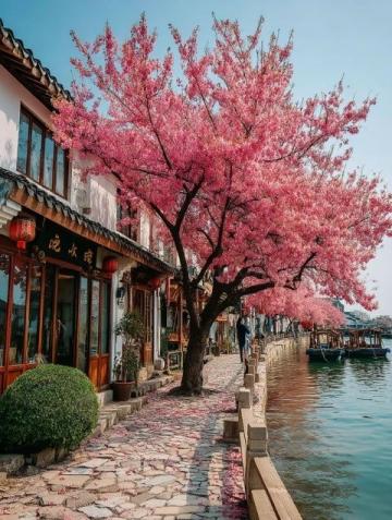 不要去國外,去福建霞浦這個浪漫漁村吧~|||如果春節不知道去那玩