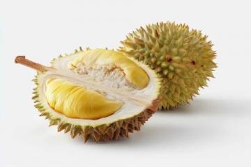 初夏水果季:榴蓮山竹與本地荔枝桃子齊上市