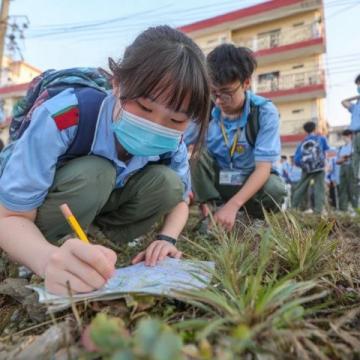 巴州區興文小學校園農場種蔬菜,校門口擺攤搞義賣