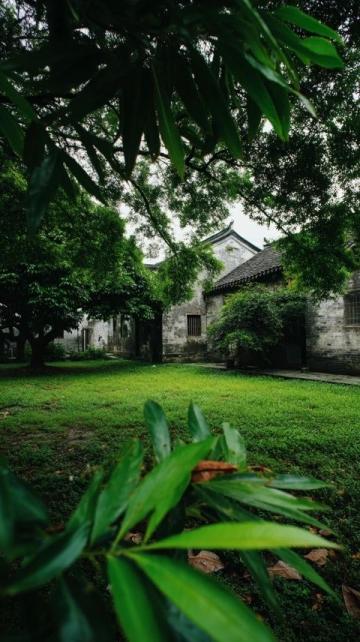 寧波植物園游玩攻略：賞花休閑全指南