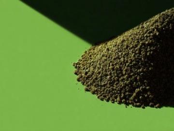 紐甜:食品工業中的超級甜味劑,究竟安全嗎?