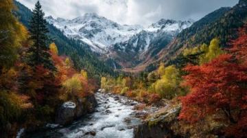 九寨溝一日游:奇幻探險之旅,開啟你的山水童話之旅