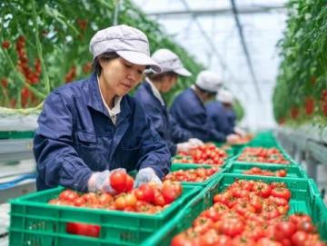 滕州本地人常去的八大菜市場推薦