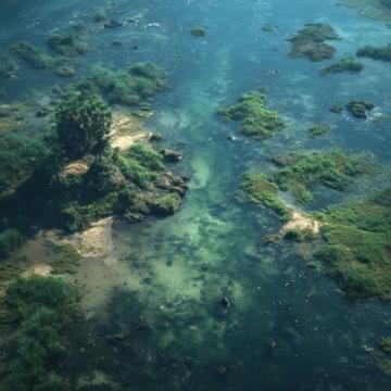 探尋文昌東郊椰林的神秘海域