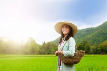珍藏一生的太陽島黃豆醬,你值得擁有
