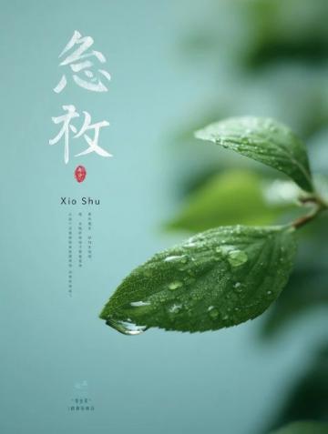 清風梳柳細雨潤花:傳統對聯文化的現代傳承與發展