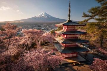 去日本六次后的深度避坑寶典和行程規劃