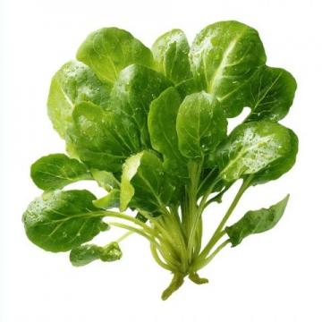 春天的味道與營養(yǎng):四種適合孩子的春芽美食