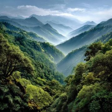 貴州荔波被譽為地球上的綠寶石(荔波，位于貴州省南部)