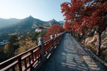 安徽春季旅游必看景點(diǎn)攻略:黃山三天游自駕游注意事項(xiàng)美食推薦