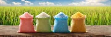 中國6大名優大米盤點:你的家鄉米在榜上嗎?