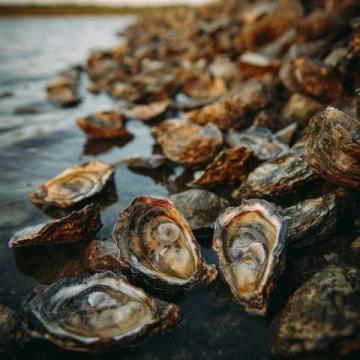 廣西,海上樂園:美味生蠔、浪漫風光
