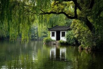佛山綠島湖游玩指南:探索城市綠肺與生態秘境