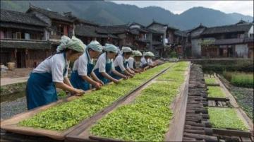 邂逅洪崖璀璨，沉醉古鎮茶香