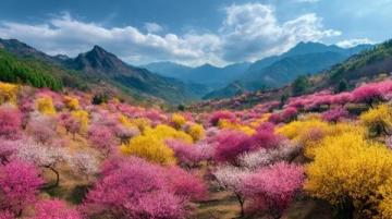 逃離都市喧囂：探尋杭州西溪濕地里的隱世桃源——十里芳菲度假村