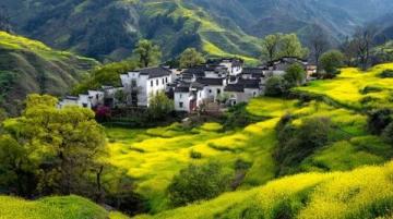 婺源旅游攻略：如何更好地游玩江南第一秀?