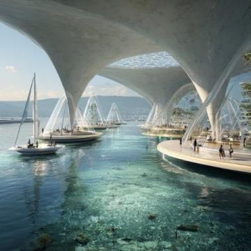 2025年冬日漫步深圳灣海上世界:城市與自然的完美交融
