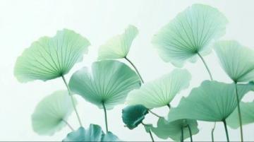 寧波植物園游玩攻略：賞花休閑全指南