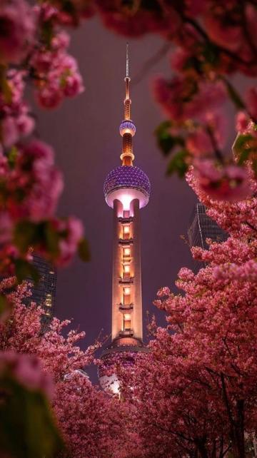 探索魔都魅力：五一上海旅游全攻略，享受外灘夜景、豫園古韻與迪士尼奇幻之旅
