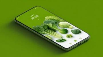 淶源風(fēng)味:酸菜拌粥的獨特美味(一)