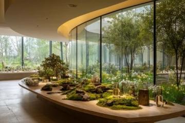 深圳東部華僑城：茶溪谷度假公園，綠色氧吧核心景區(qū)