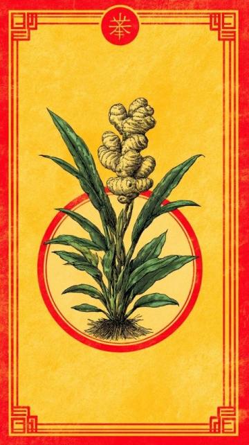 山藥和人參:深度挖掘中醫(yī)養(yǎng)生的核心
