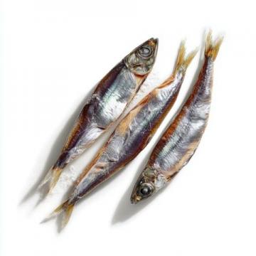 日本人為什么如此鐘愛秋刀魚？營養價值與文化魅力解析