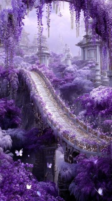 成都藍花楹浪漫(成都也有自己的浪漫)