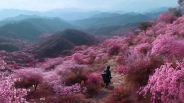 秦孟祿夫婦回高密賞梨花，共游春日美景故鄉情深