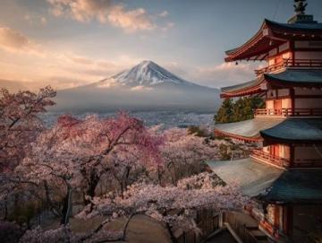 14日游日本篇·第三天