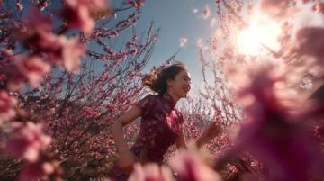 蒙陰岱崮賞花游記:桃花盛開季,近賞七十二崮,體驗沂蒙風光