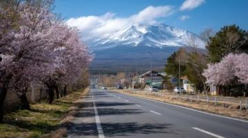 五一旅行攻略:避開人潮,提前規(guī)劃享受黃金周