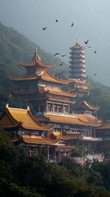 今天去了溧水東廬山觀音寺,傅家邊賞梅,太值了!關鍵免票,免票!機智南京旅攻