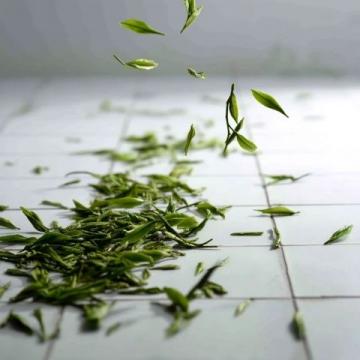 中國十大名茶之——安溪鐵觀音的泡法與功效