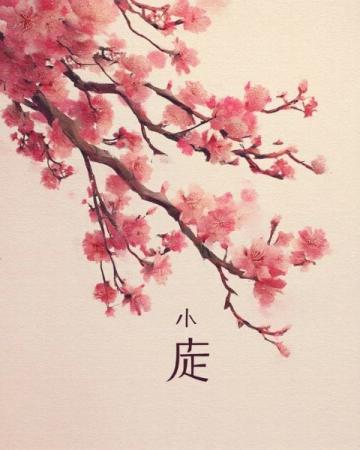 梅花盛開如畫,打造現(xiàn)實中的世外桃源