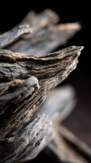 沉香保養(yǎng)秘笈:如何正確處理沉香以保持獨(dú)特氣息