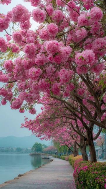 逃離都市喧囂：探尋杭州西溪濕地里的隱世桃源——十里芳菲度假村