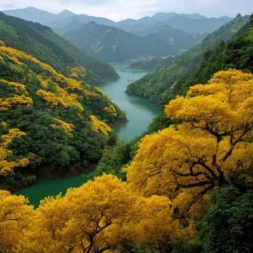 平山清風峽,人少景美，沒有過多雕飾的原生態山谷。因地勢生態原因，空氣十分清新