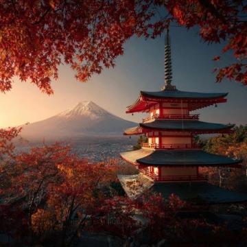 去日本六次后的深度避坑寶典和行程規劃