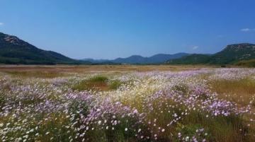 五一鶴壁1日游攻略:浚縣古城、大伾山、濕地公園,吃喝玩樂全攻略!