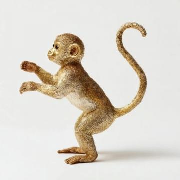 秦嶺金絲猴貪吃模樣惹人愛