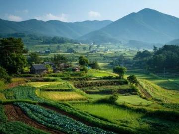 探秘中緬邊境魅力小城瑞麗:自然、風情與美食之旅