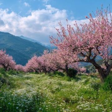 走進春暖花開的閩南美景