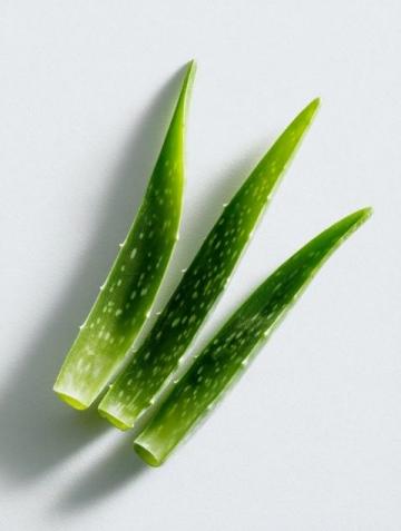 五種創(chuàng)意食譜解鎖蘆薈的美味與營養(yǎng)