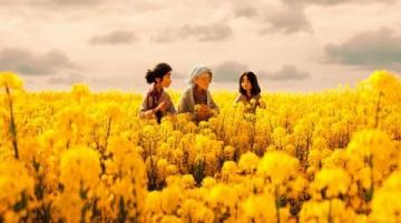 漢中市油菜花一日游攻略：梯田湖光山色美景全體驗